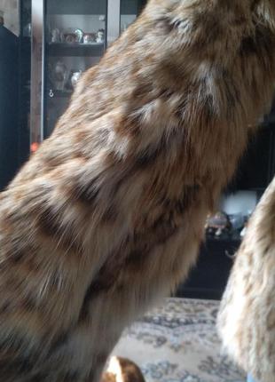 Шуба, шубка, полушубок кот липпи, рысь, дикая рысь италия.9 фото