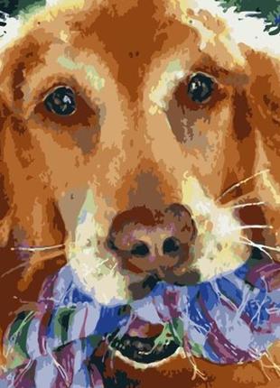Картина за номерами (милий друг) bk_1126