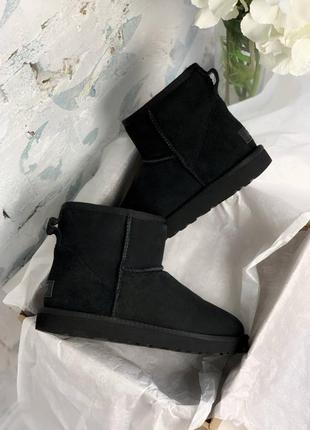 Зимові уггі ugg classic ii mini black