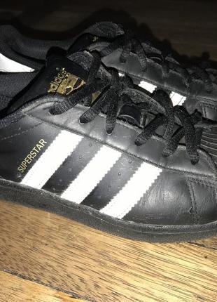 Кросівки adidas superstar 5