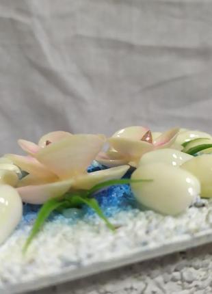 Шкатулка украшенная ракушками. ручная работа. 175х110х60мм