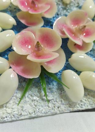 Шкатулка украшенная ракушками. ручная работа. 175х110х60мм