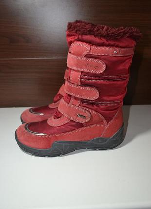 Primigi 37р сапожки зимние на меху, кожаные gore-tex термо