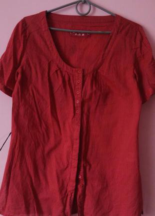 Сорочка tcm tchibo розмір m - невеликий l