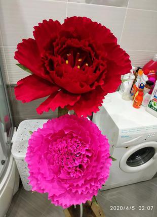 Ростовые цветы из гофрированной бумаги