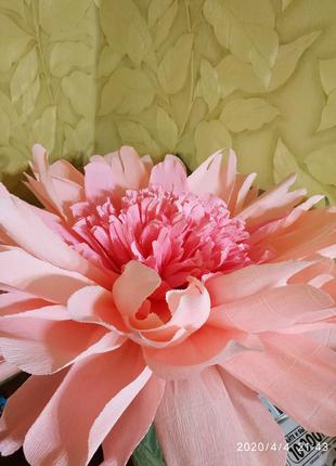 Ростовые цветы из гофрированной бумаги