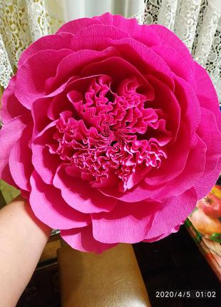 Ростовые цветы из гофрированной бумаги