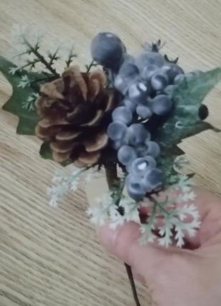 Гілочка лохини з шишкою