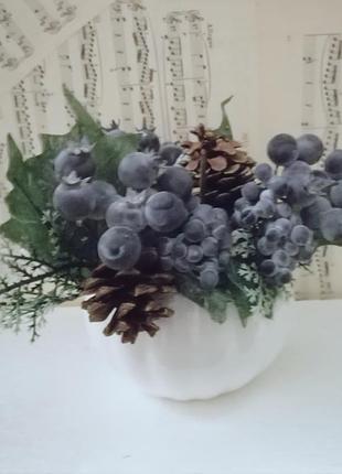 Гілочка лохини з шишкою