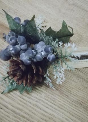 Гілочка лохини з шишкою