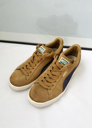 Кеды, кроссовки, сникерсы, натуральная замша, замшевые, puma suede classic+2 фото