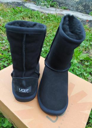 Оригинальные замшевые угги ugg.3 фото