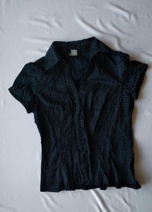 Блуза в горох в винтажном стиле на пуговицах хлопок6 фото