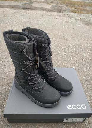 Женские теплые зимние сапоги ecco noyce 834633 02001