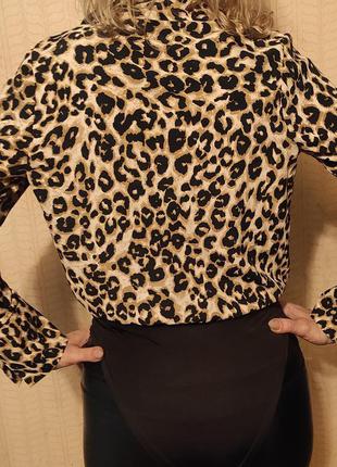 Шикарный стильный актуальный боди блуза под леопарда6 фото