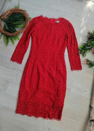 Сукня червона мереживо мереживо хс