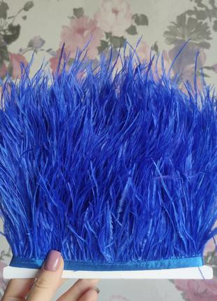 Ярко-синие перья страуса на тесьме королевский синий4 фото