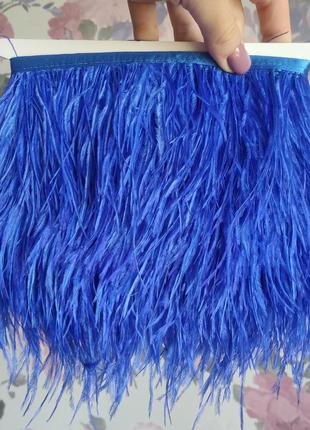 Ярко-синие перья страуса на тесьме королевский синий1 фото