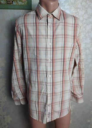 Чоловіча сорочка, стильна сорочка, розмір м