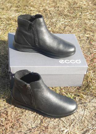 Зимові черевики ecco aquet 207083/01001