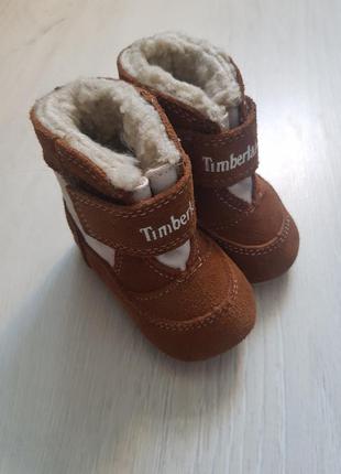 Пінетки timberland