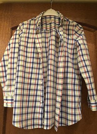 Burberry рубашка 2