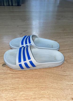 Шльопанці adidas