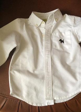 Рубашка crazy8 белая