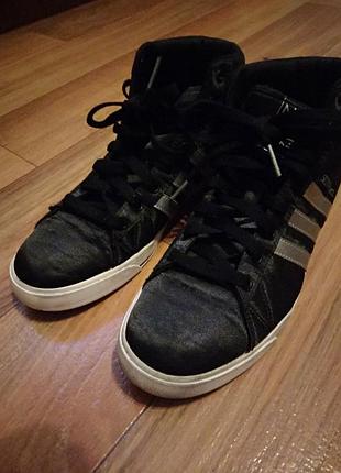 Класні високі кеді від adidas