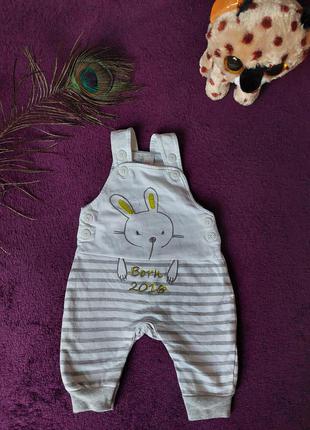 Комбінезон 00044