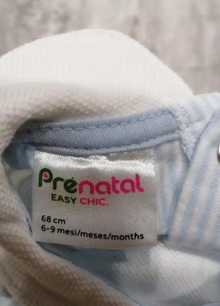 Чоловік prenatal3 фото