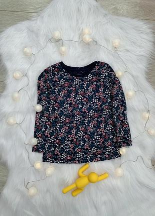 Кофта,реглан