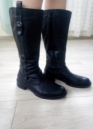 Чоботи осінь-весна.