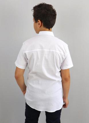 10.020 рубашка белая для мальчика с коротким рукавом тм blueland4 фото