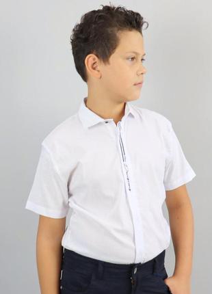 10.020 рубашка белая для мальчика с коротким рукавом тм blueland5 фото