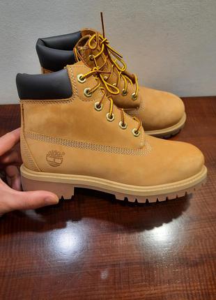 Черевики timberland1 фото