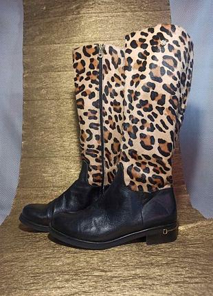 Сапоги pedro miralles