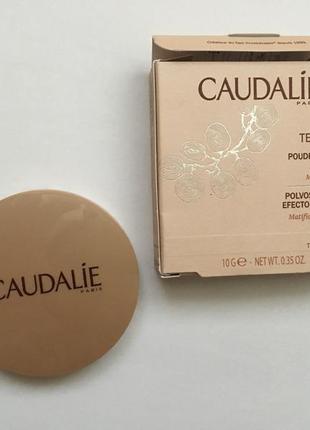 Caudalie teint divin минеральная бронзирующая пудра2 фото