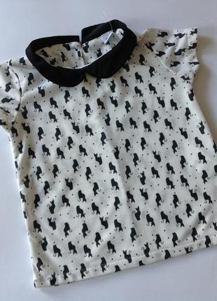Футболка зара в кошечки