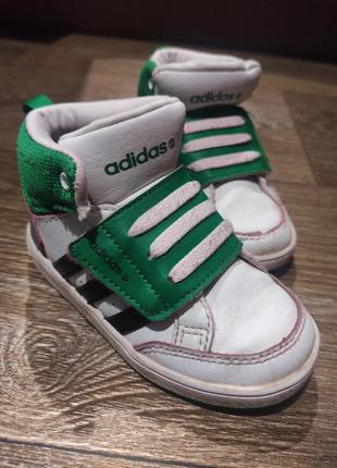 Кросівки adidas 23