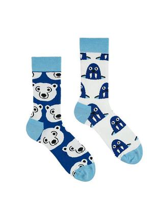 Разнопарные носки от sammy icon polar "белый мишка и морж"3 фото