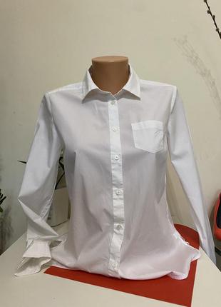 Базова біла блуза сорочка max mara