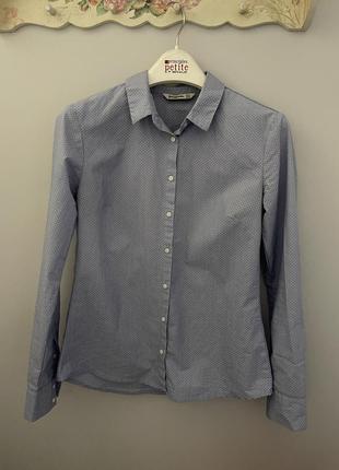 Голуба сорочка в крапку