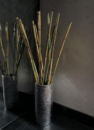 Бамбук для декору / палички бамбука / бамбуковий декор1 фото