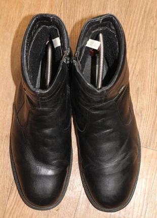 Зимові шкіряні черевики claudio conti 45-465 фото