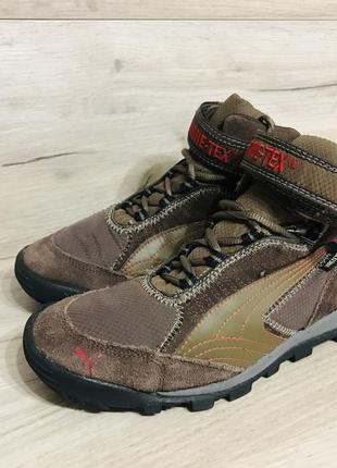 Ботинки  puma 302976 01 desierto iv gore-tex6 фото