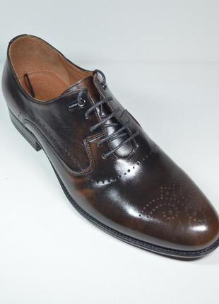 Мужские кожаные туфли полуброги коричневые l-style 1122-15 фото