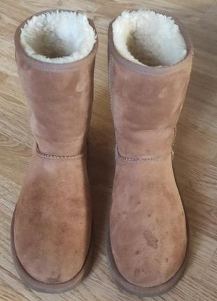 Сапоги ugg australia oригинал 39размера,25,5см по стельке