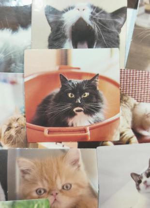 Набір #2 фотографій для скрапбукінгу,картинки для скрапбукінга,наклейки з котиками4 фото