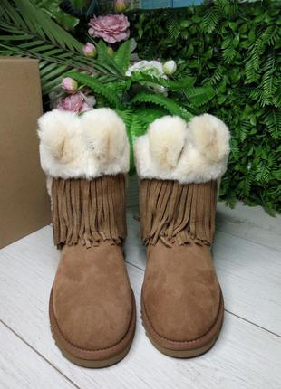 Ugg darlala classic beige. уггі з вушками. оригінал натуральна шкіра2 фото